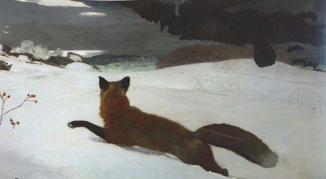 Fox Hunt (mk44)